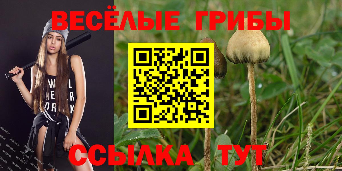 Хасавюрт  Псилоцибиновые грибы Magic Shrooms  Вход с VPN 